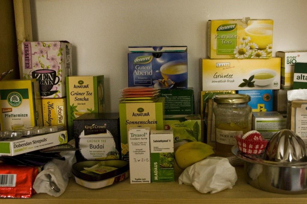 Shelf of ECLA of Bard student