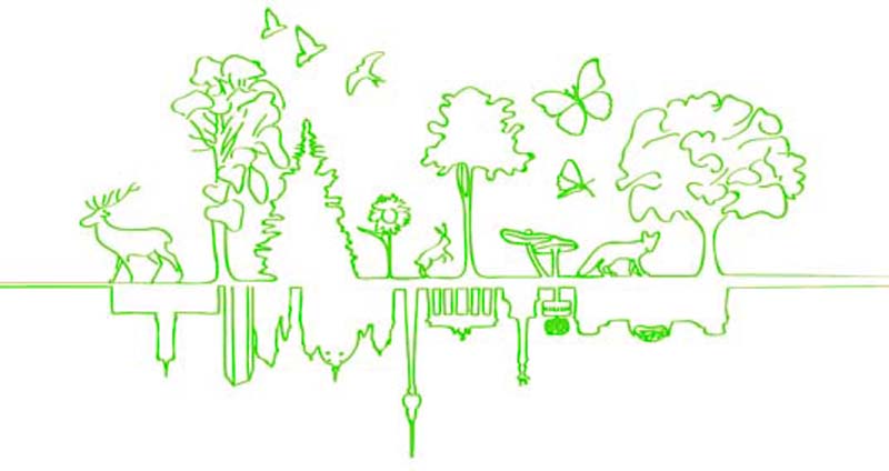 Berlin has begun transforming itself into a much more environmentally friendly city. (© berlingoesgreen.de)