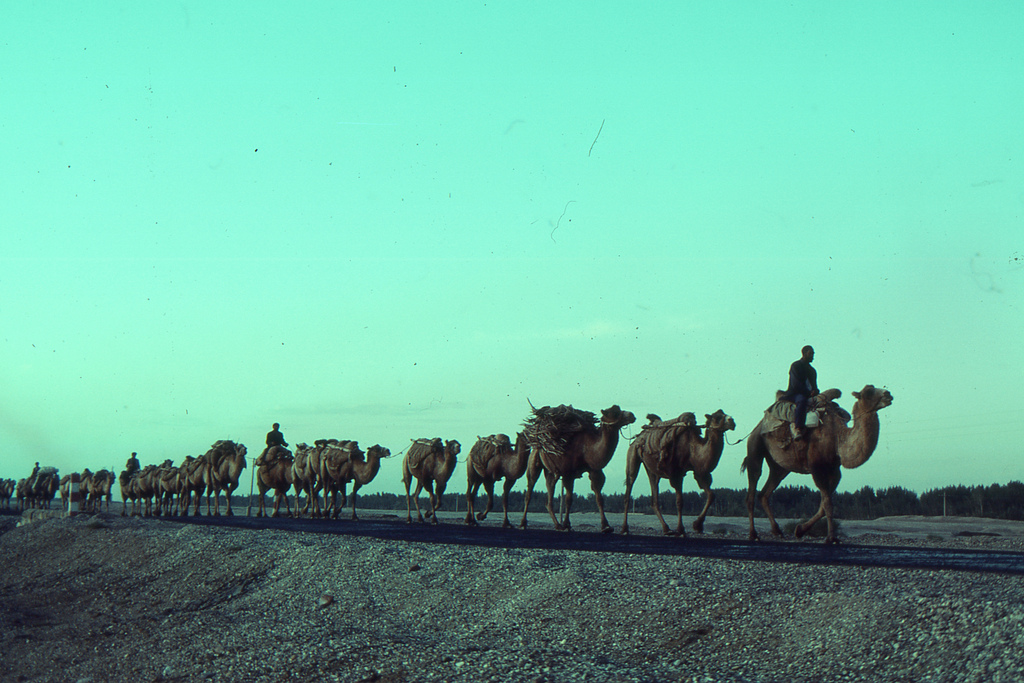 Caravans of trade on the Karakoram Highway at dusk