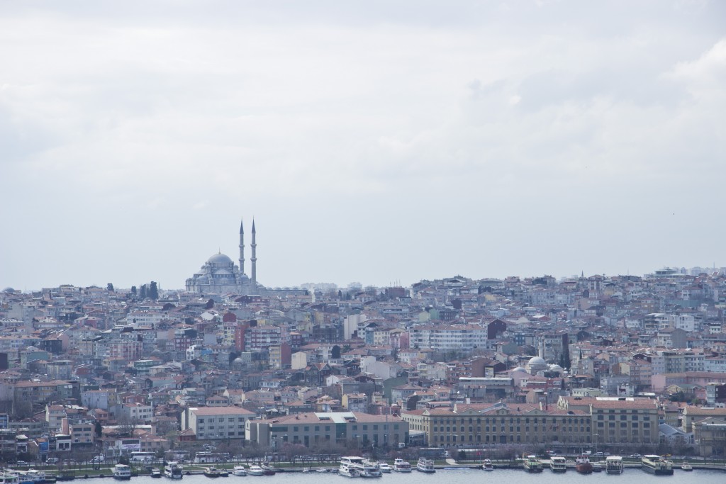 Istanbul view from the rooftop of our conference venue, Adahan Hotel. Photo: Inasa Bibic