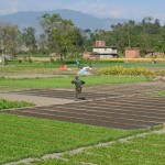 Rice fields in the outskirts of Kathmandu