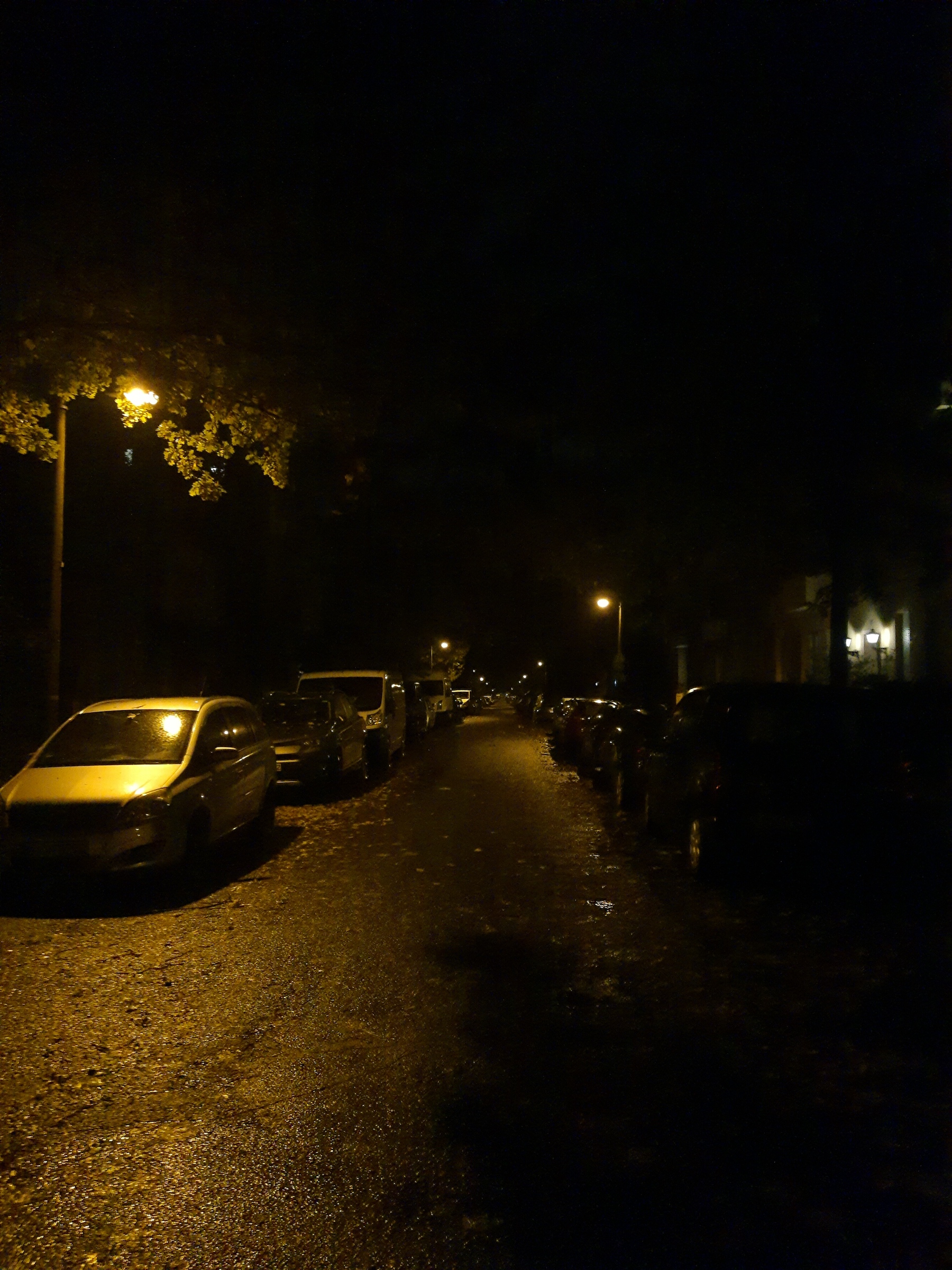 Ende Der Nacht In Berlin? Bezirksamt Pankow Über Das Sperrstunden Urteil (Novum). - gi7mdk4