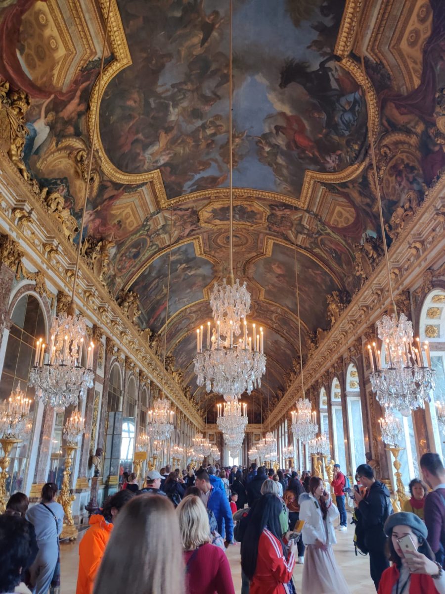 Reflections In The Hall Of Mirrors Die Barliner